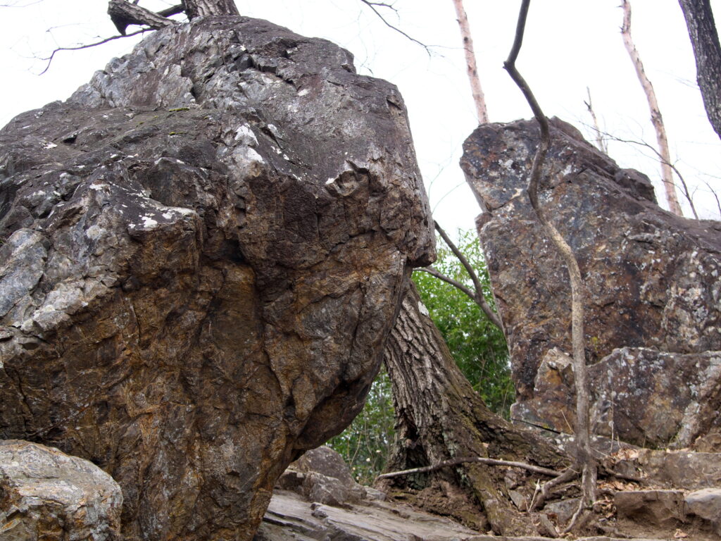 早春の三毳山　夫婦岩