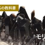 天然石の教科書 モリオン